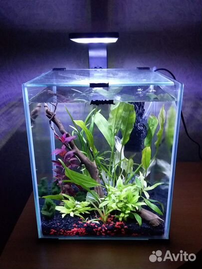 Аквариум-куб Aquael Shrim Set Day& Nigt 20литров