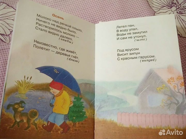 Книга