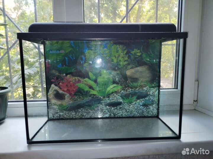 Аквариум