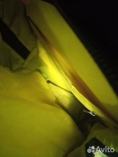 Рюкзак школьный гризли