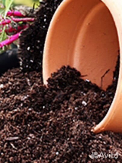 Грунт растительный