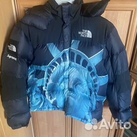 supreme x the north face - Купить недорого одежду и обувь 👕👟 в Москве с  доставкой