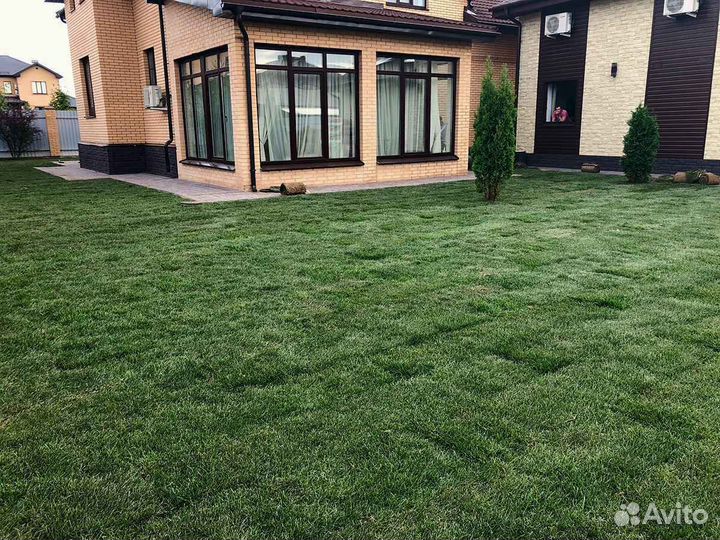 Укладка рулонного газона