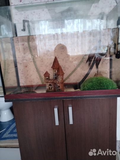 Аквариумные рыбки, аквариум с тумбой