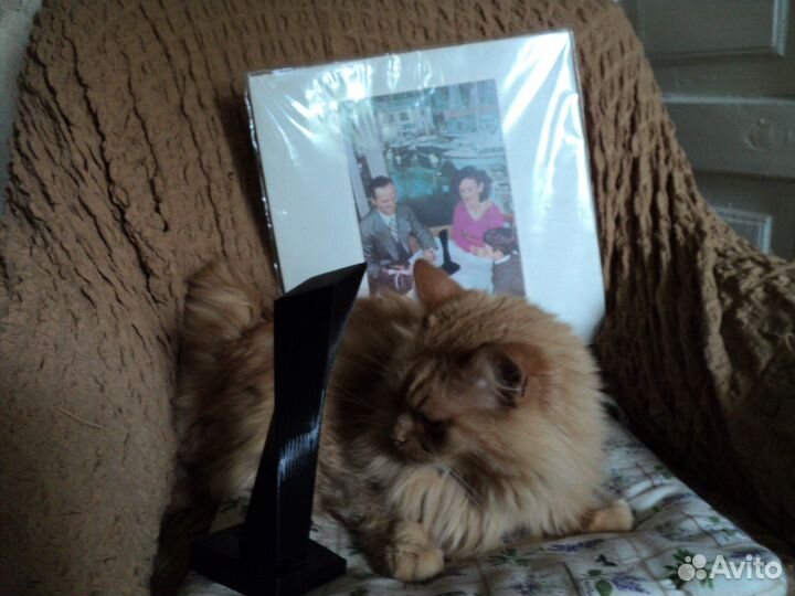 LED zeppelin - Presence (1976)