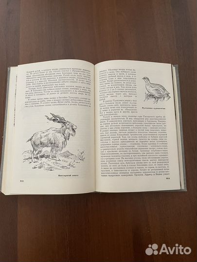 Книга «Животный мир и природа СССР»