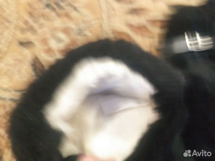 Унты мужские 43