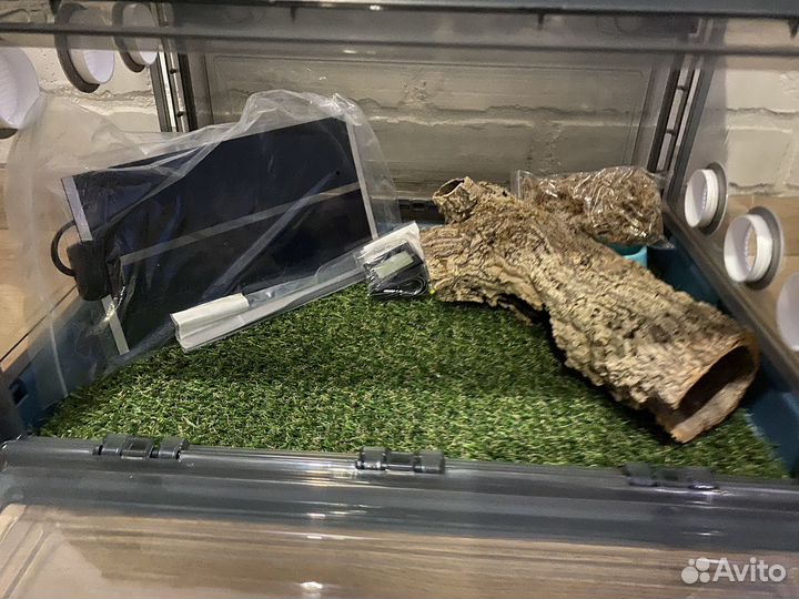 Продам террариум для рептилии