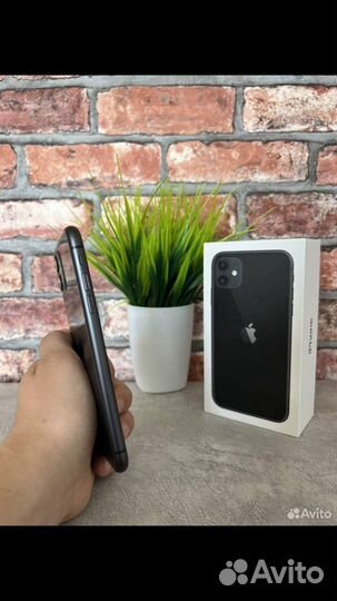 iPhone 11