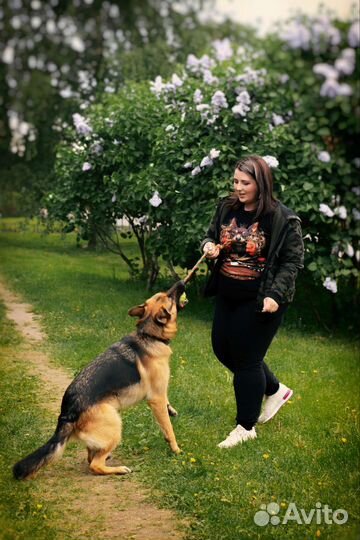 Кинолог/зоопсихолог/выгул