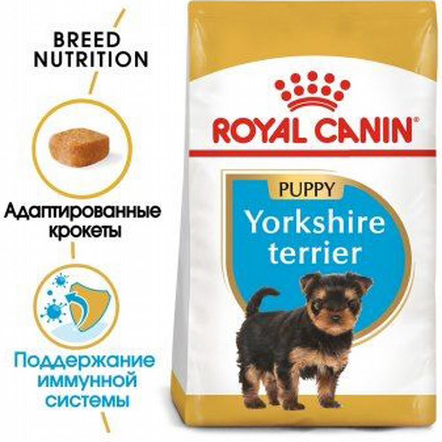 Yorkshire terrier puppy PRO 7 кг