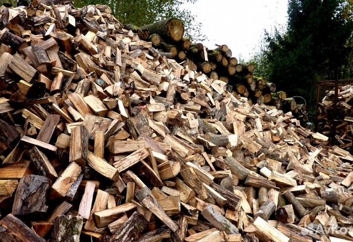 Дрова в Сертолово