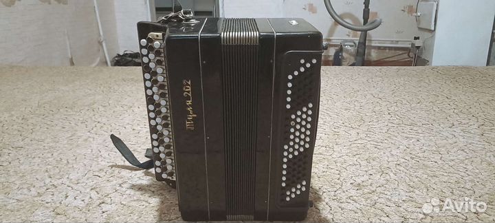 Баян тула 202