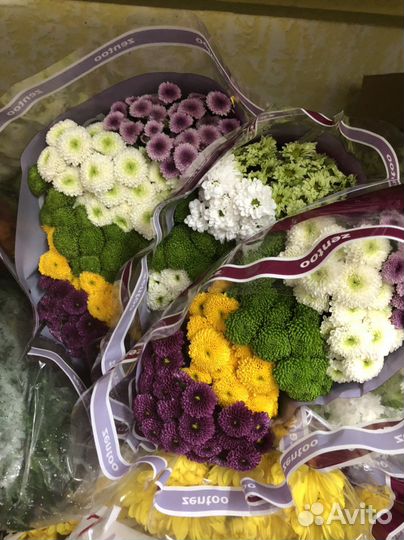 Цветы оптом и в розницу