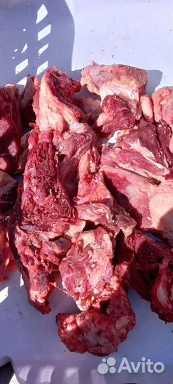 Мясо говядина для собак с доставкой на дом