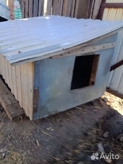 Собачья будка утеплённая