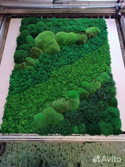 Панно из стабилизированного мха, продажа мха