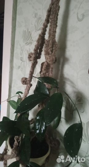 Кашпо макраме