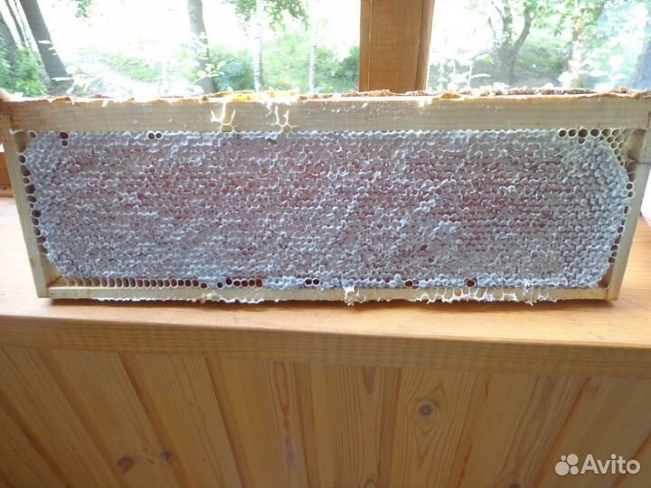 Подмор,забрус, мёд, огневка, соты, с доставкой