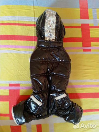 Комбинезон для маленькой собаки