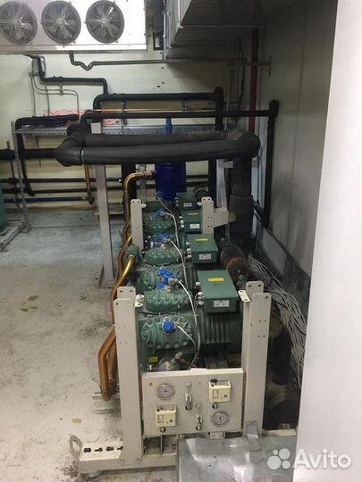 Шоковая заморозка