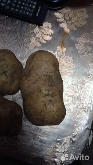 Картофель домашний деревенский (продажа ведром)