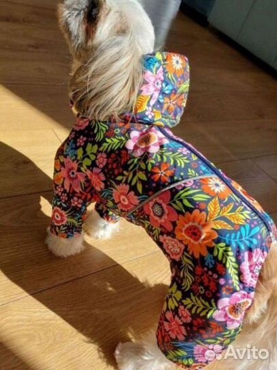 Комбинезон для маленькой собаки