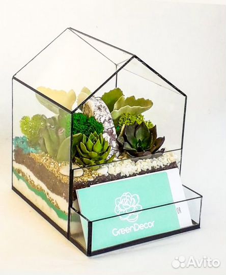 Флорариум своими руками