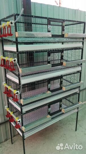 Клетки для перепелов, кур, кроликов