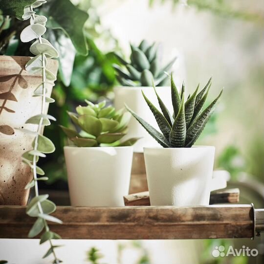 Икеа Кашпо, Фейка