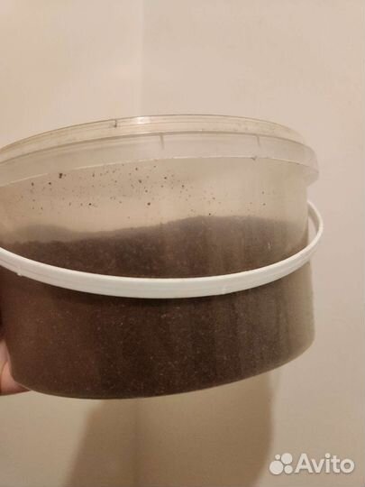Кофе молотый для скрабов