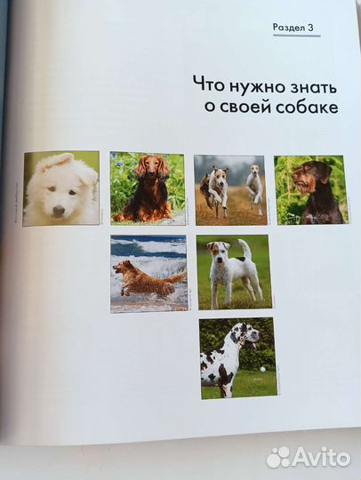 Энциклопедия собаки