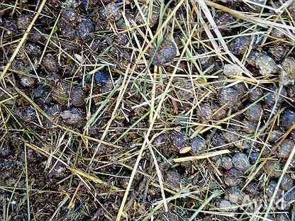 Навоз-кроличий,коровий