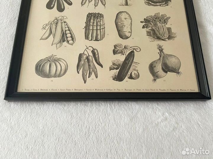 Постер Икеа Кноппэнг