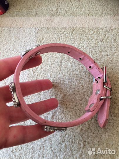 Ошейники и шлейка