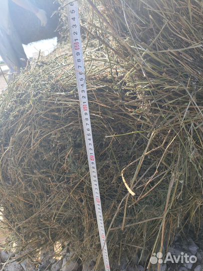 Сено люцерны в тюках