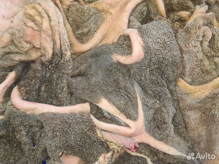 Рубец говяжий