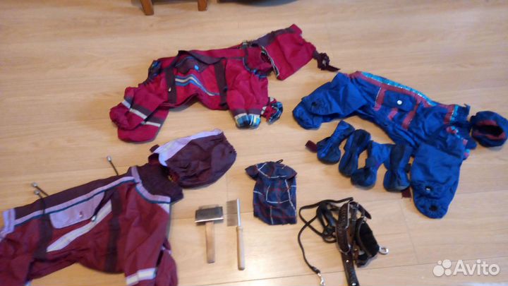 Комбинезоны и принадлежности для собак