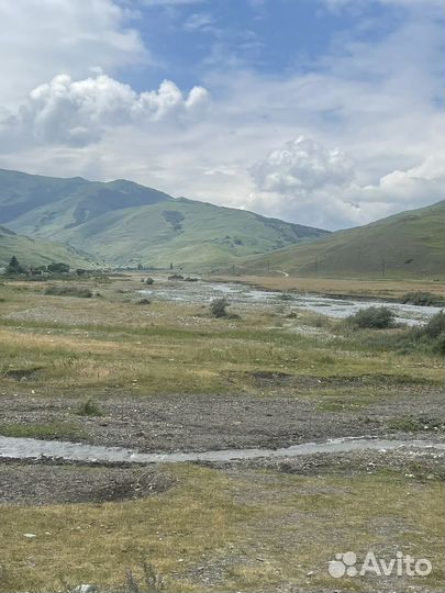 Пассажирские перевозки