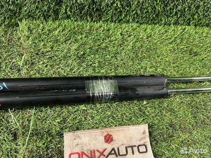 Амортизатор задней двери Honda Stepwgn RG1 K20A