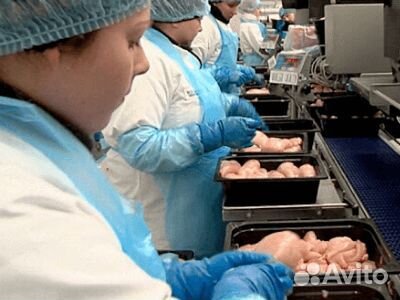 Вахта в Ставрополе.Упаковщик(ца)