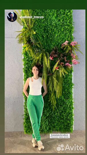 Озеленение ресторанов, кафе, жилых помещений