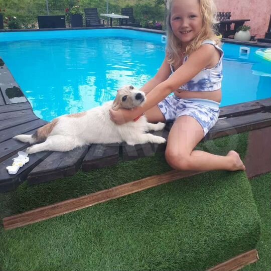 Комната 18 м², 1/2 эт.