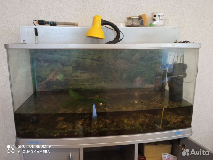 Аквариум с оборудованием