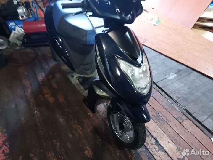 Ирбис каори