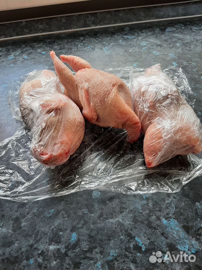 Мясо перепелов