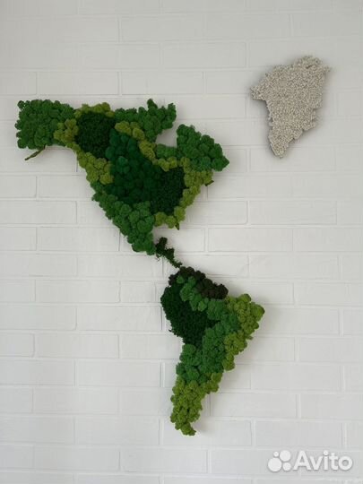 Панно Карта Мира из мха ягеля