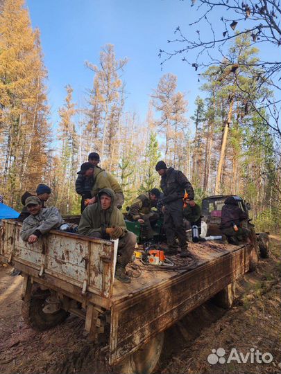 Лесовосстановление, расчистка просек, площадок, вы