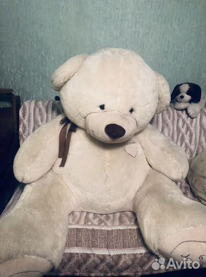 Плюшевый медведь