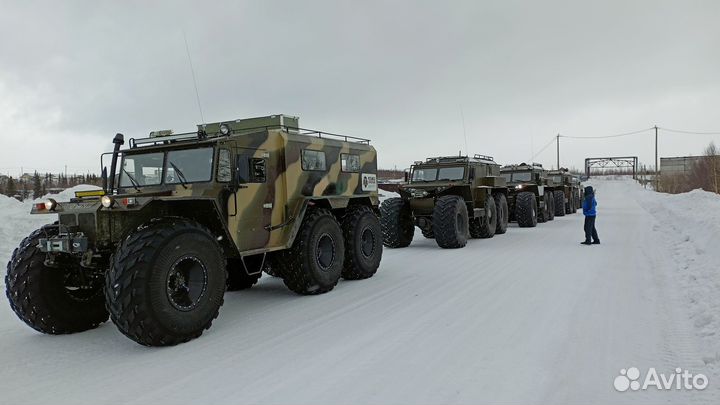 Снегоболотоход, Вездеход, 